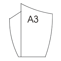 a3