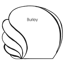 burley